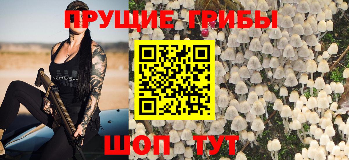Коряжма  Галлюциногенные грибы Psilocybine cubensis  Вход с VPN 